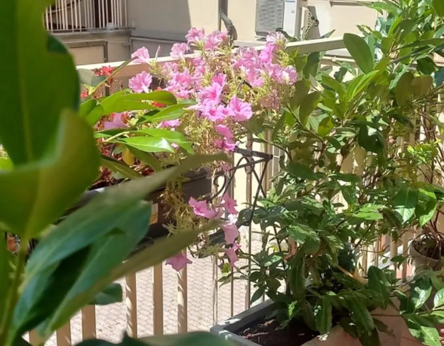 Palazzo Novecento Wellness B&B-1